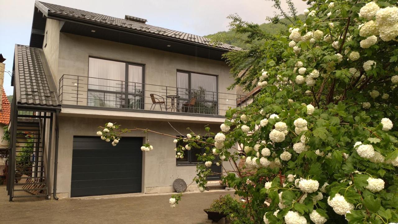 ירמכה Guesthouse U Dida Viktora מראה חיצוני תמונה